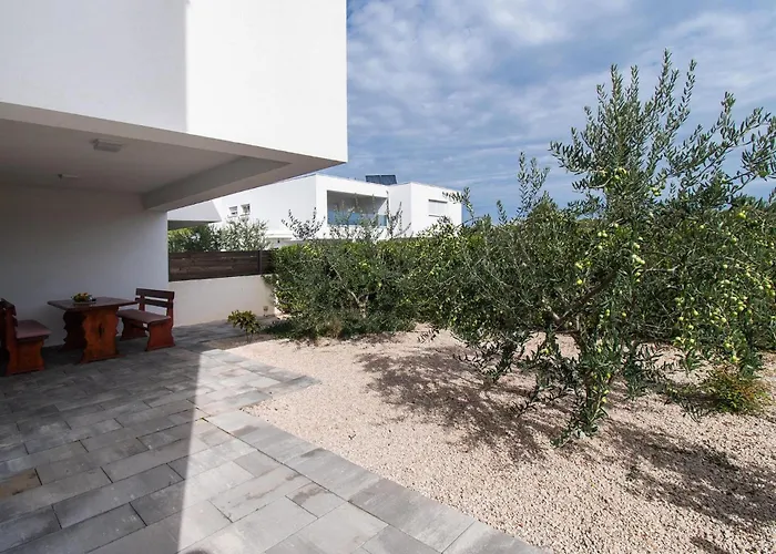 Cld688, Vlahov I Сasa de vacaciones *